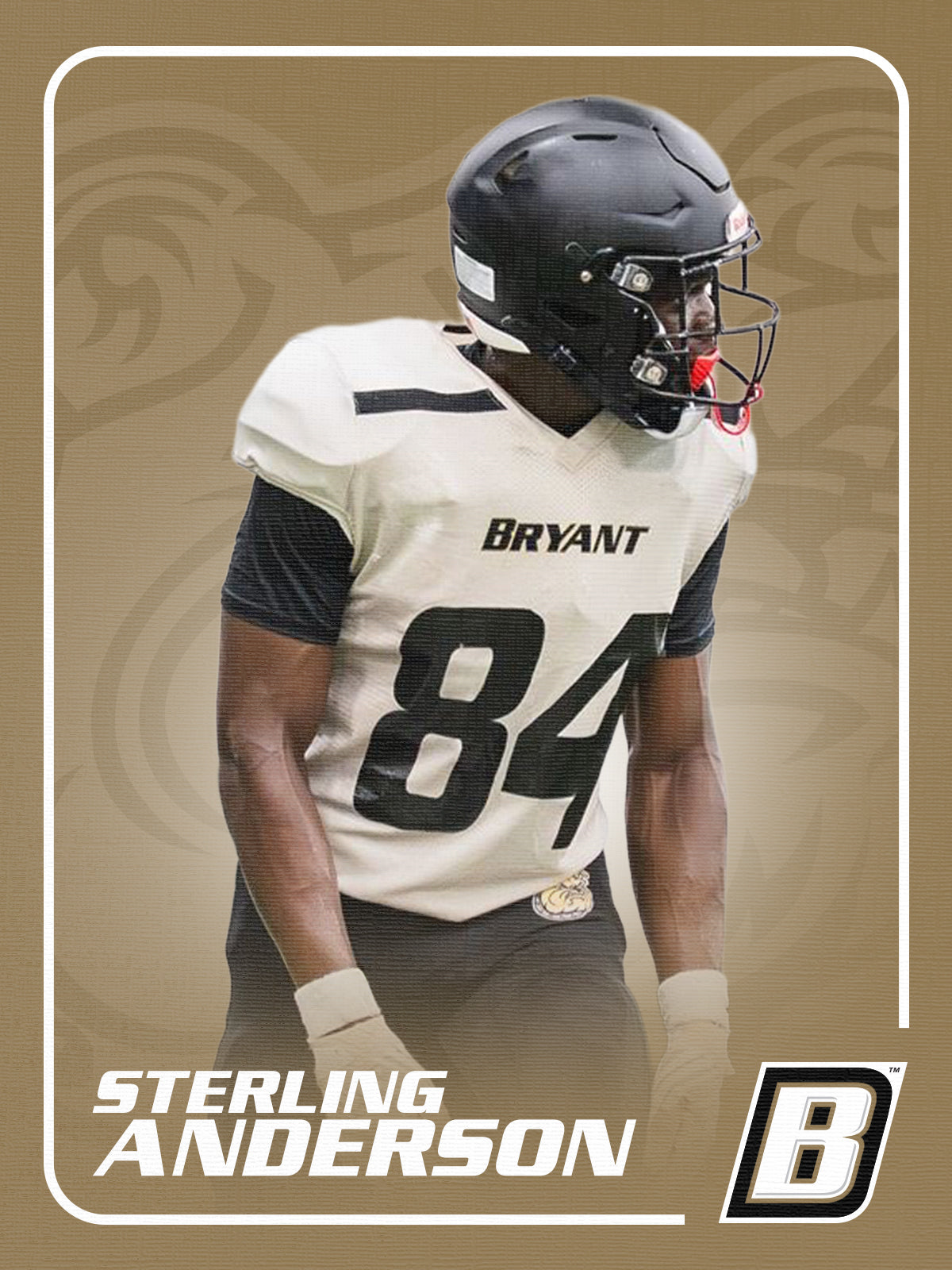 Sterling Anderson