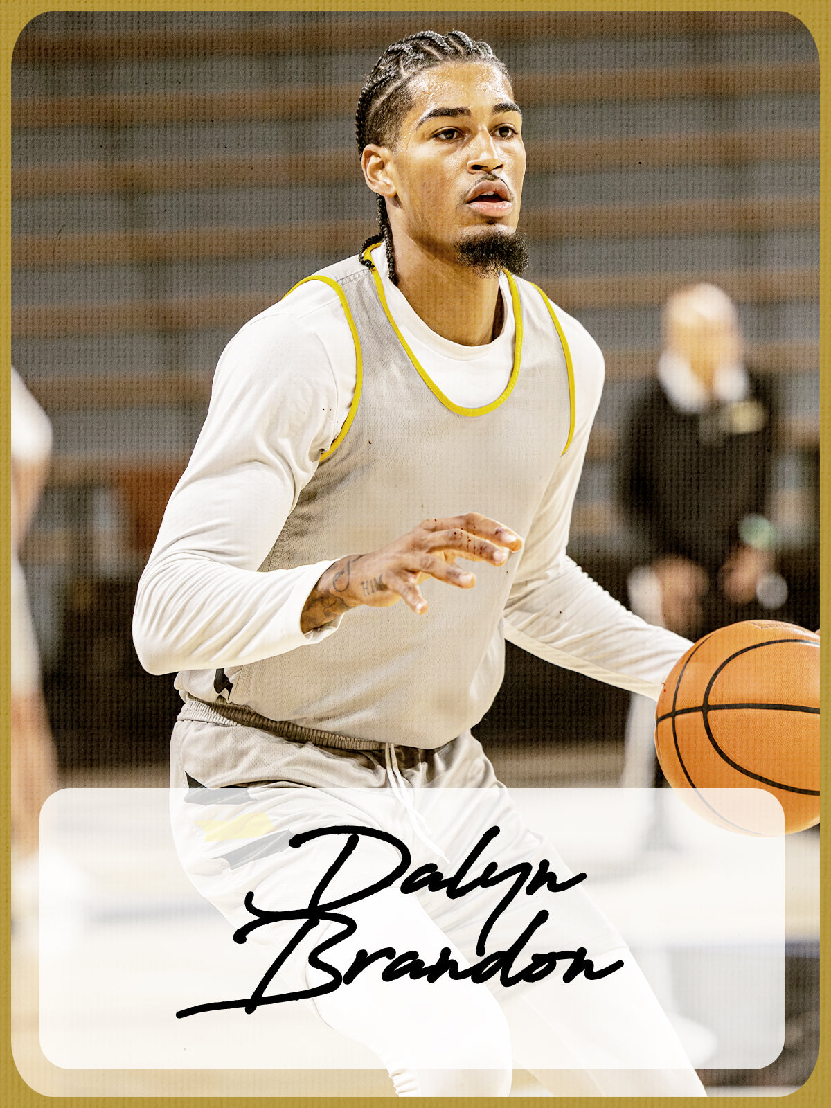 Dalyn Brandon – Only Fresh Designs