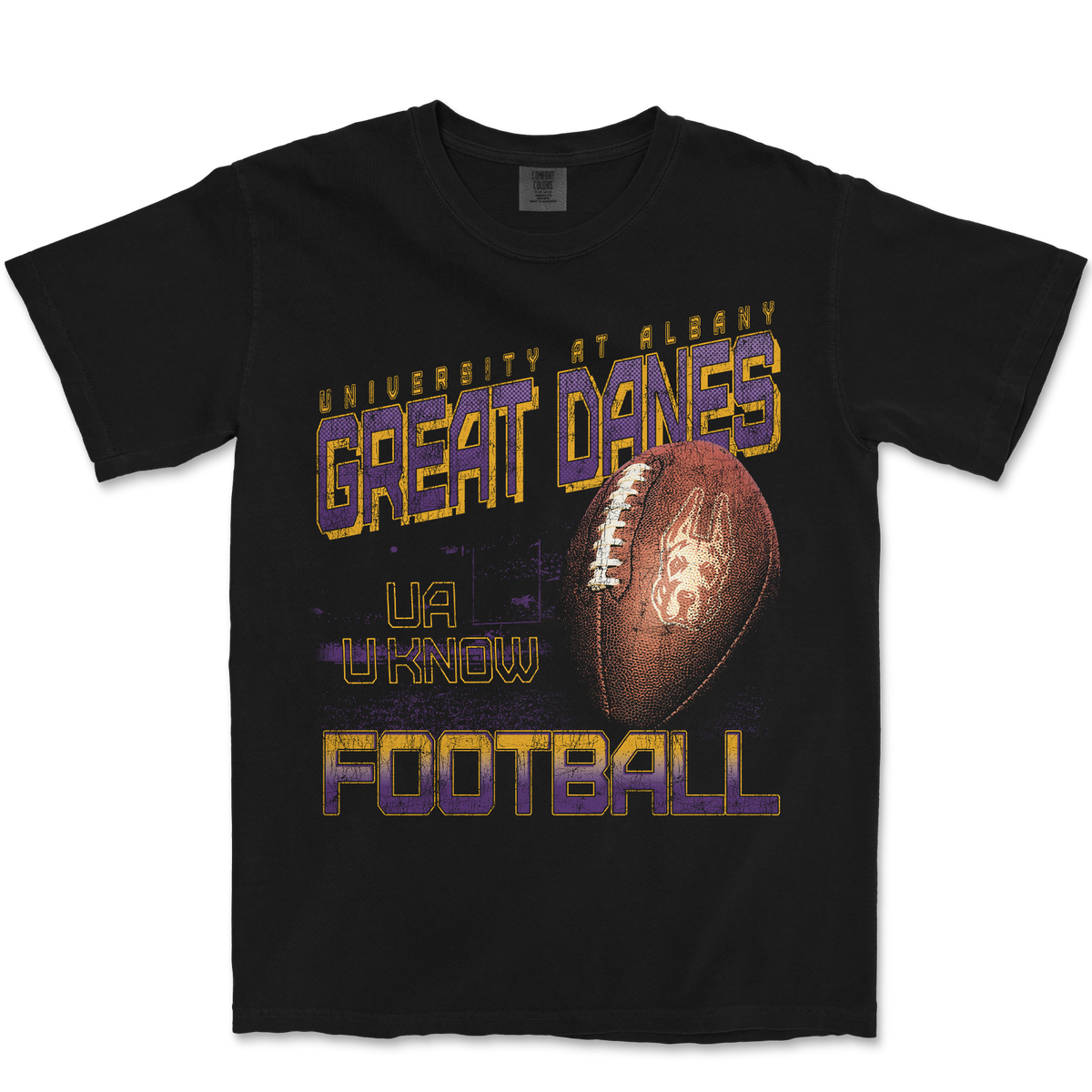 UALBANY FOOTBALL GRAPHIC BLACK T-SHIRT